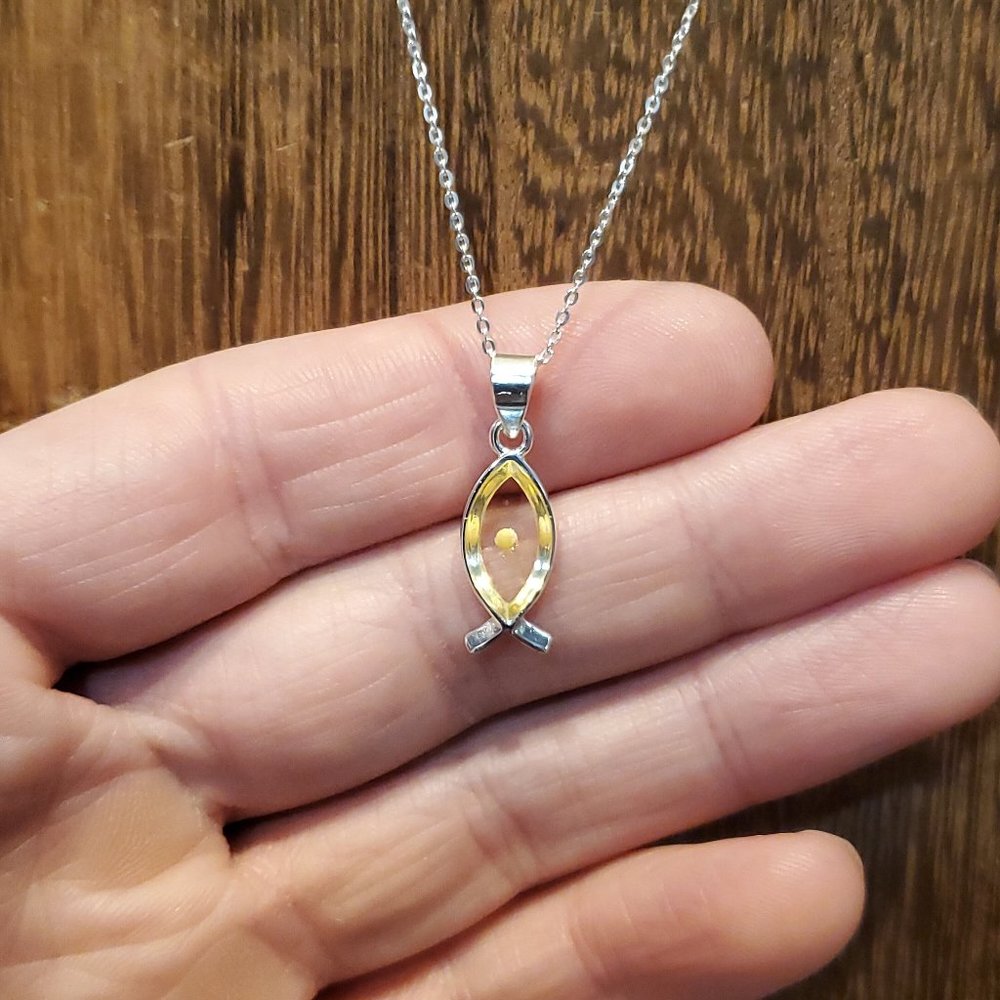 18 Inch 925 Sterling Silver Small Fish With Seed Inside Pendant Necklace